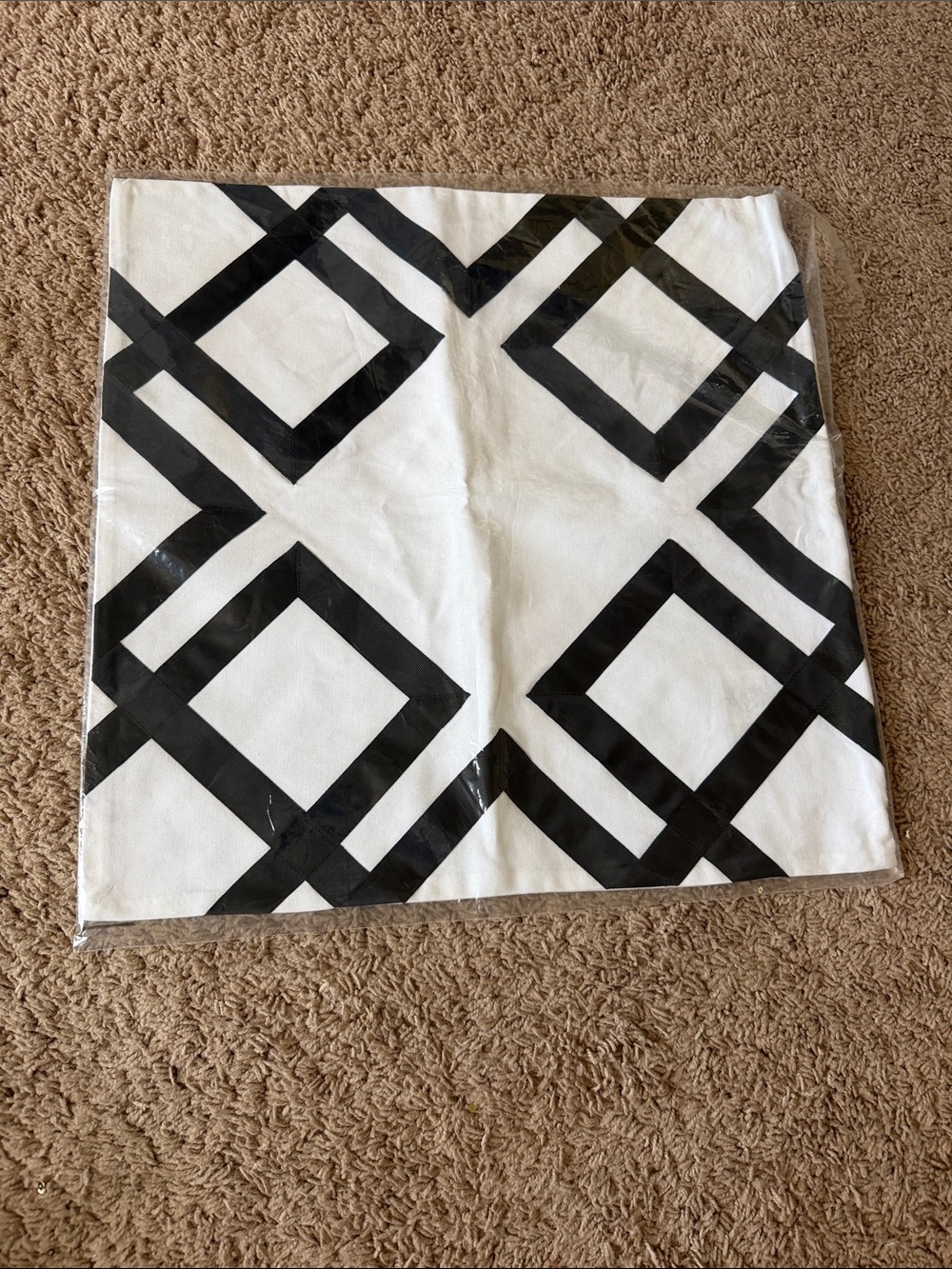 Pottery Barn Teen Black and White Geometric Pillow Cover